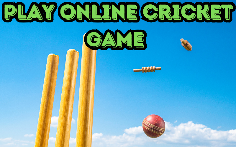 play online cricket game