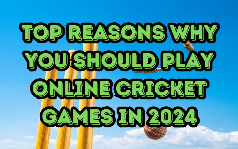 play online cricket game